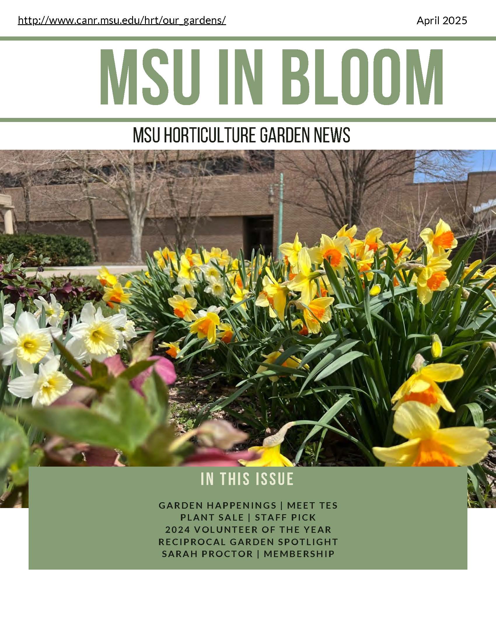 April 2025 _Cover.jpg